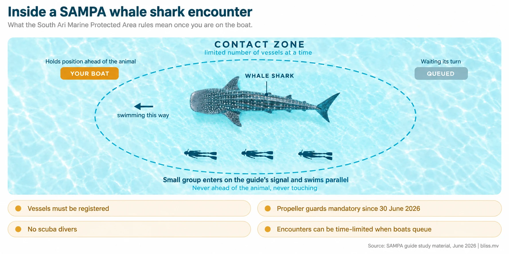 Diagram of a compliant whale shark encounter inside the South Ari Marine Protected Area