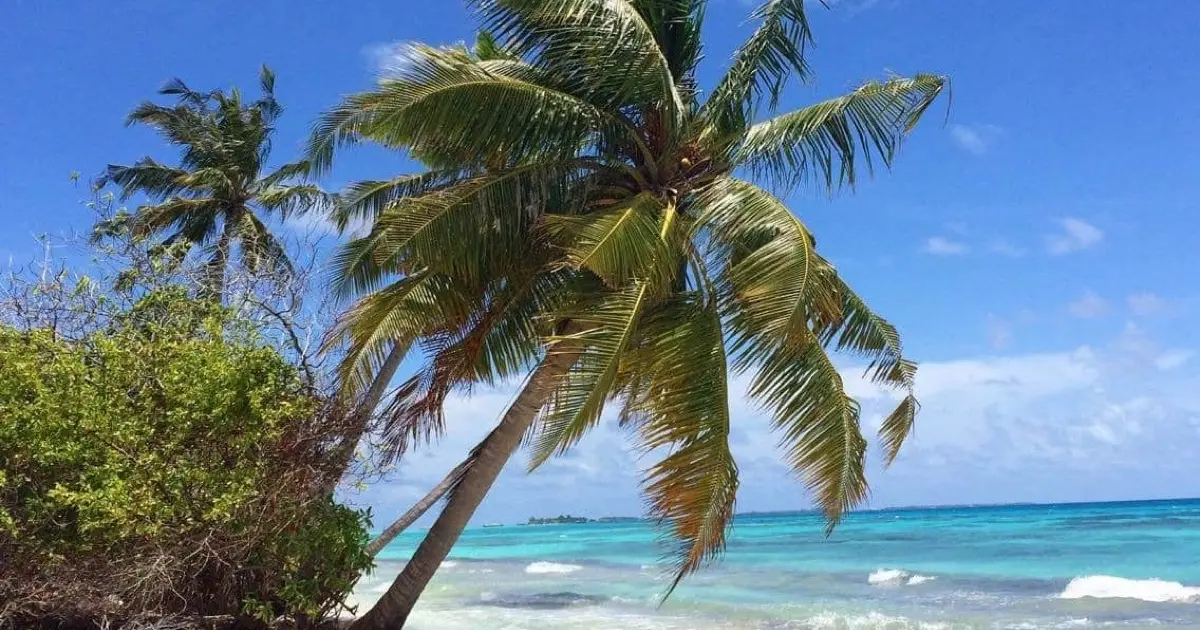Bliss Dhigurah