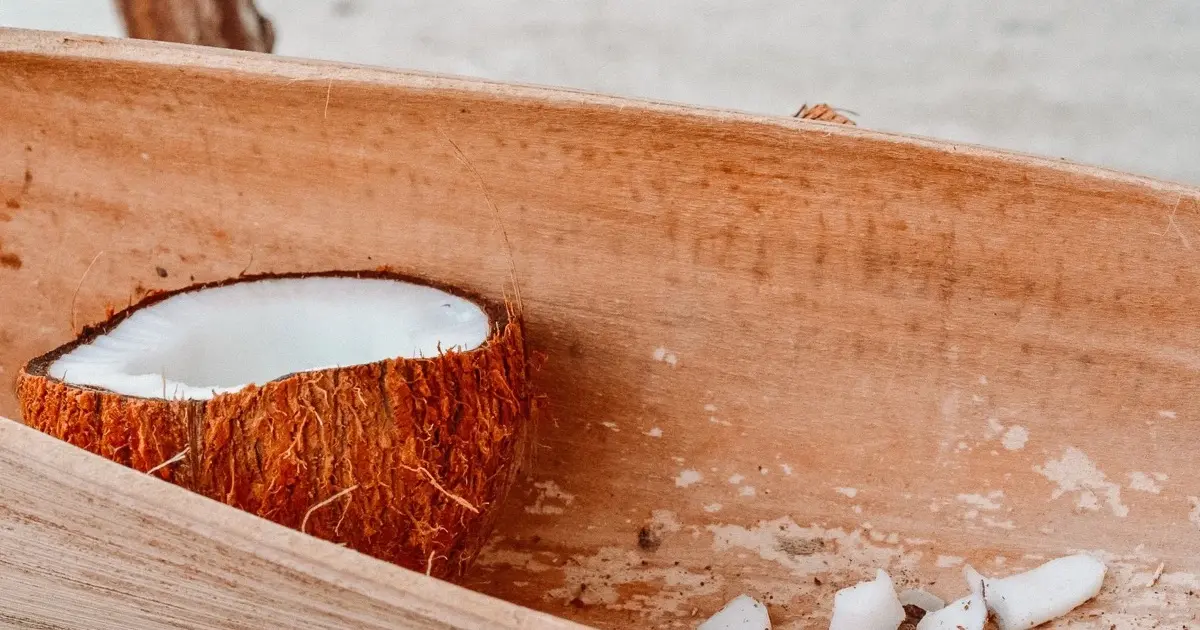 Kaashi / Coconut